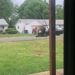 Meet your Posher, Layc